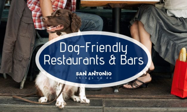 For Refresh or Sponsored Post – The Best Dog Friendly Restaurants and Bars in San Antonio