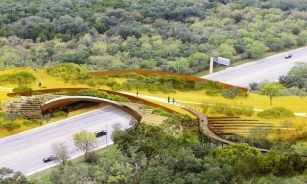 San Antonio Land Bridge – New Addition For Humans & Wildlife!