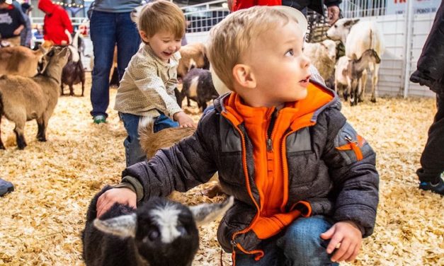 10 Things To Do in San Antonio With Kids This Weekend of Feb 11 Include SA Stock Show & Rodeo, Snowy Day Opening at Magik & more!