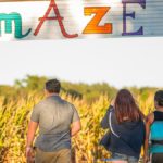 Corn maze San Antonio: 10 corn mazes near you for hay rides and other fun fall activities!