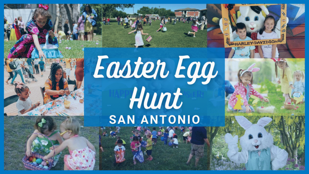 Easter Egg Hunt San Antonio 2023 20 Events For Kids, Toddlers & Adults
