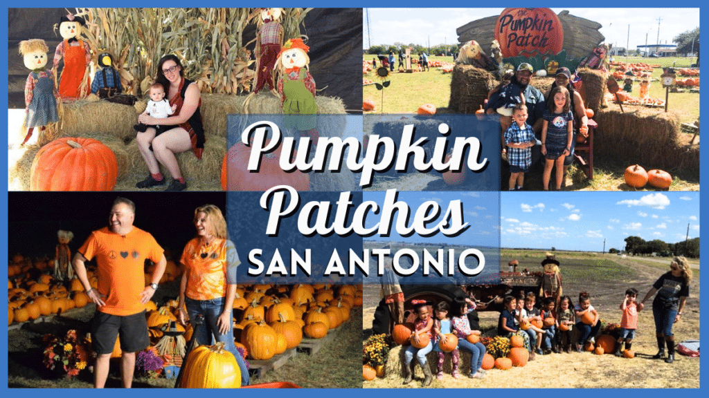 12 Pumpkin Patch San Antonio 2023 Autumn Adventures & More!