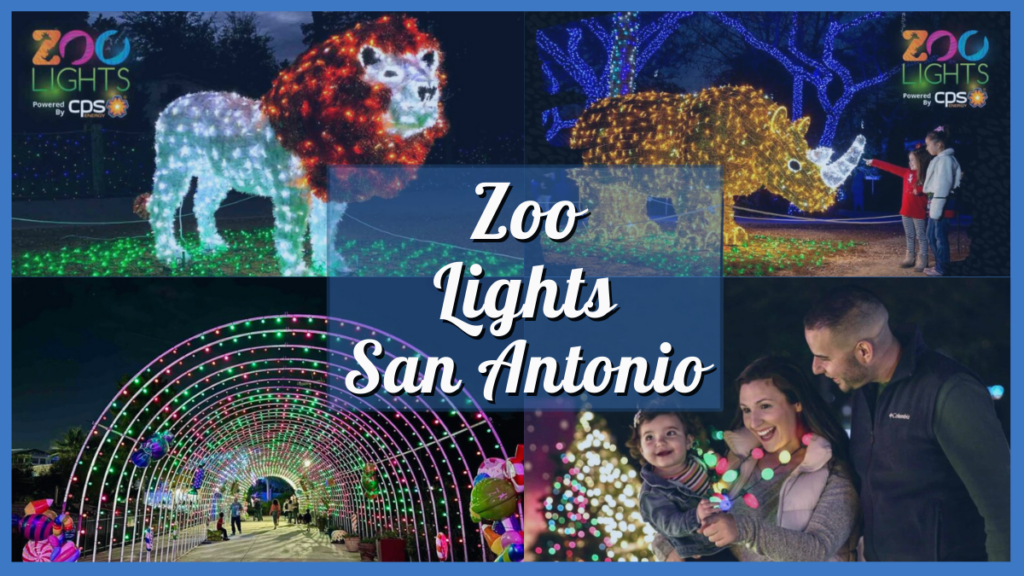 San Antonio Zoo Lights 1024x576 