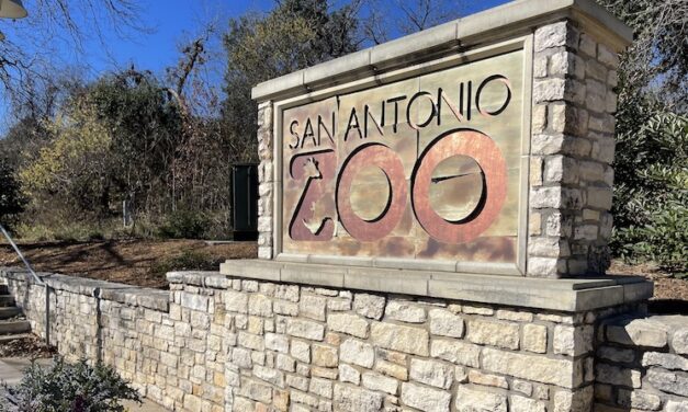 San Antonio Zoo Guide: Hours, Tickets, Coupons, Maps & More