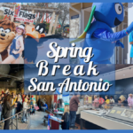 San Antonio Spring Break 2024 Guide – 20 Fun Activities For An Unforgettable Week!