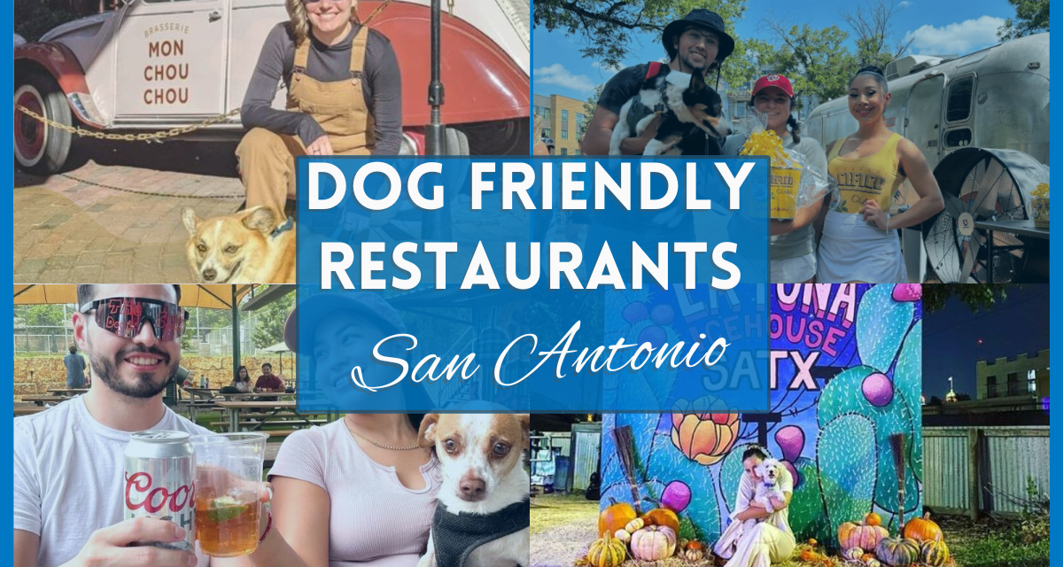 Unleash Your Appetite With This Dog Friendly Restaurants San Antonio Guide