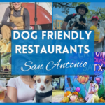 Unleash Your Appetite With This Dog Friendly Restaurants San Antonio Guide