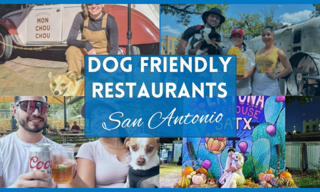 Unleash Your Appetite With This Dog Friendly Restaurants San Antonio Guide