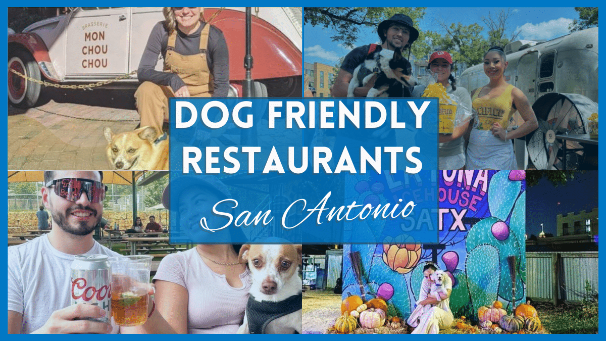 Dog friendly restaurants San Antonio