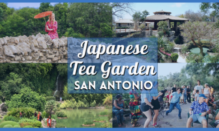 Discover The Japanese Tea Garden San Antonio