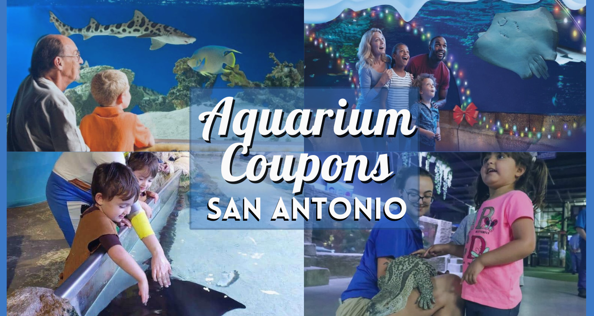 San Antonio Aquarium Coupons and Discount Tickets: How to Save Big