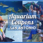 San Antonio Aquarium Coupons and Discount Tickets: How to Save Big