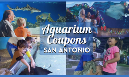 San Antonio Aquarium Coupons and Discount Tickets: How to Save Big