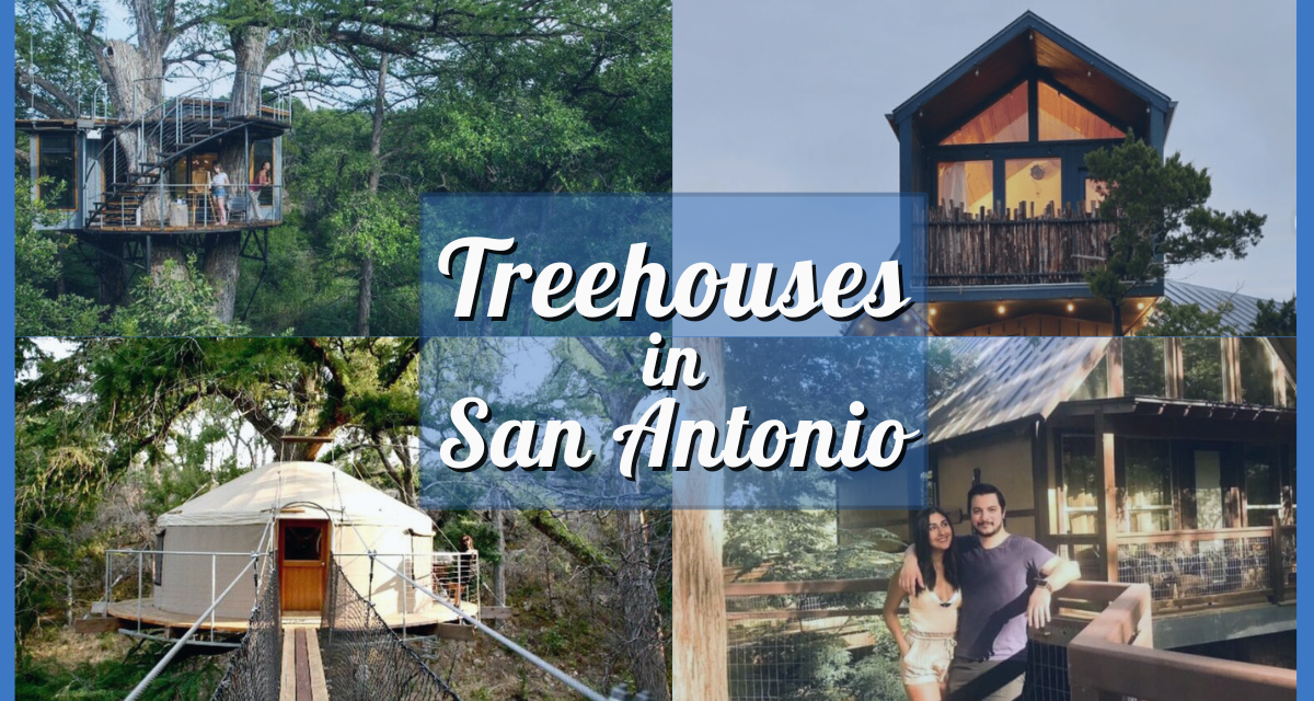 Escape to Nature: The Best Treehouses San Antonio Has To Offer