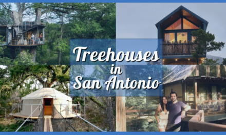 Escape to Nature: The Best Treehouses San Antonio Has To Offer