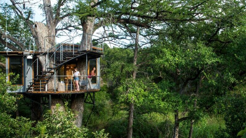 Treehouse San Antonio