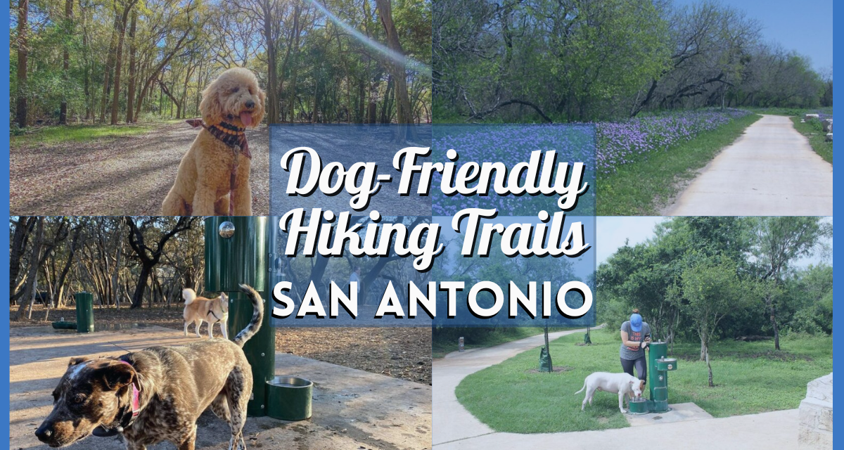 Dog Friendly Hiking Trails San Antonio – Your Guide to Paw-some Adventures for Your Furry Friend!