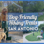 Dog Friendly Hiking Trails San Antonio – Your Guide to Paw-some Adventures for Your Furry Friend!