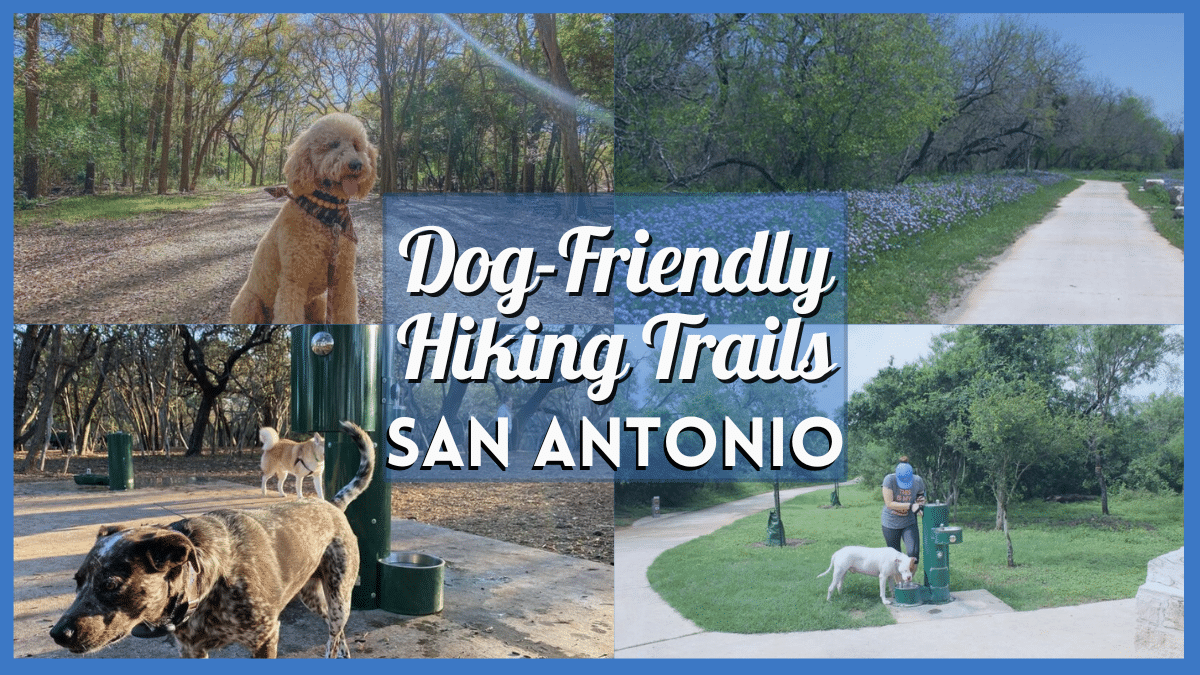 Dog Friendly Hiking Trails San Antonio