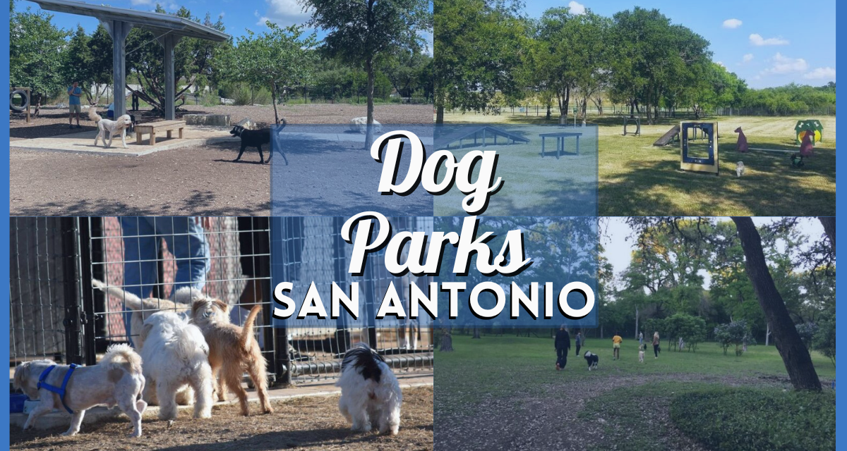 Dog Parks in San Antonio TX – Places for Furry Friends to Unleash the Fun!