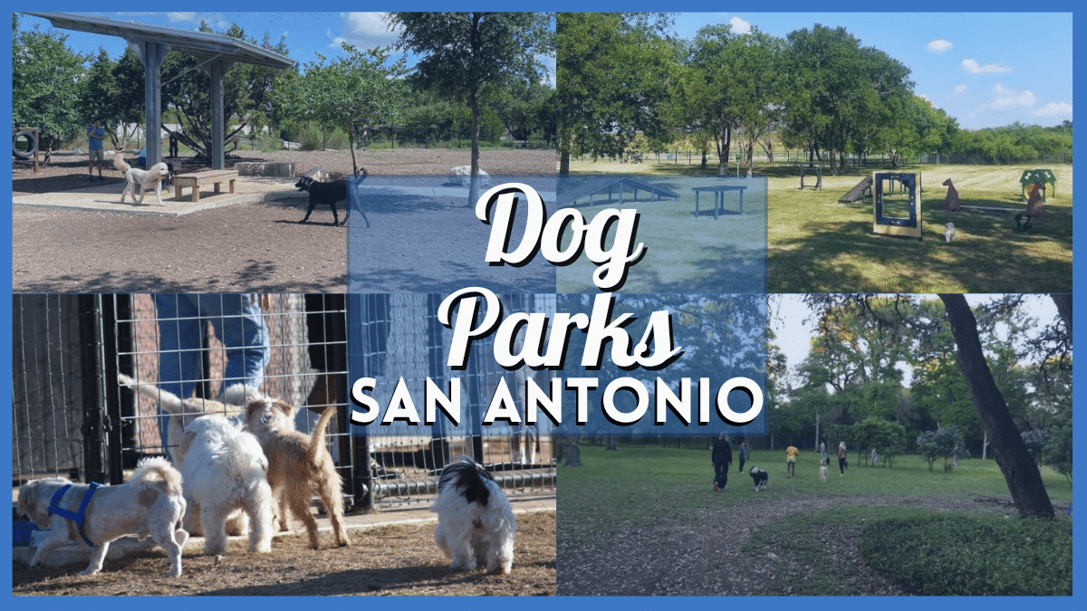 Dog Parks in San Antonio TX