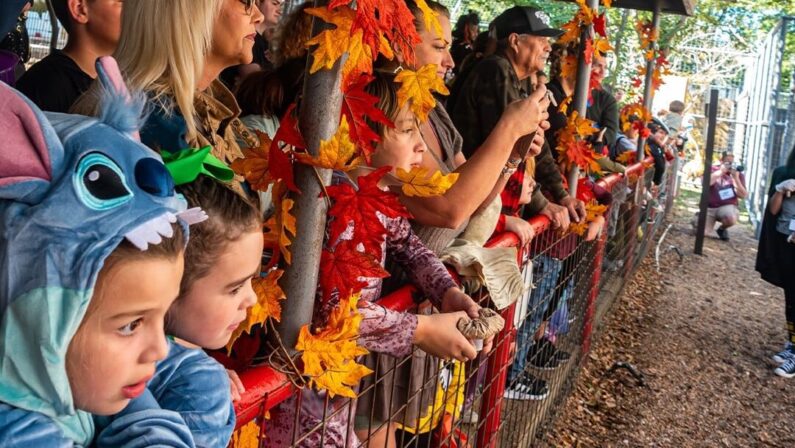 Trick or Treat San Antonio 2024