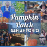 Pumpkin Patch San Antonio 2024 – Autumn Adventures for Families & More!