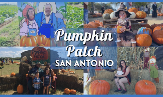 Pumpkin Patch San Antonio 2024 – Autumn Adventures for Families & More!