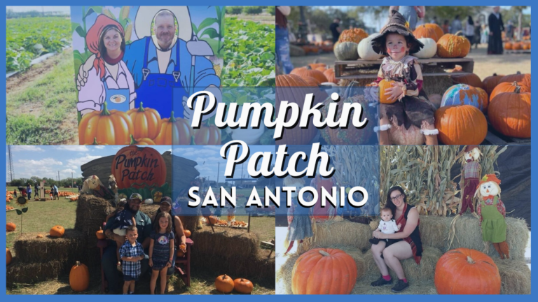 Pumpkin Patch San Antonio