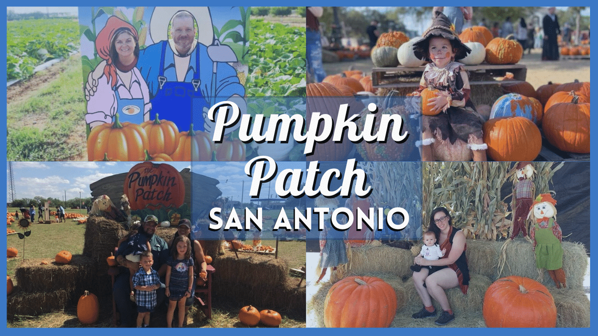 15 Pumpkin Patch San Antonio 2025 Autumn Adventures