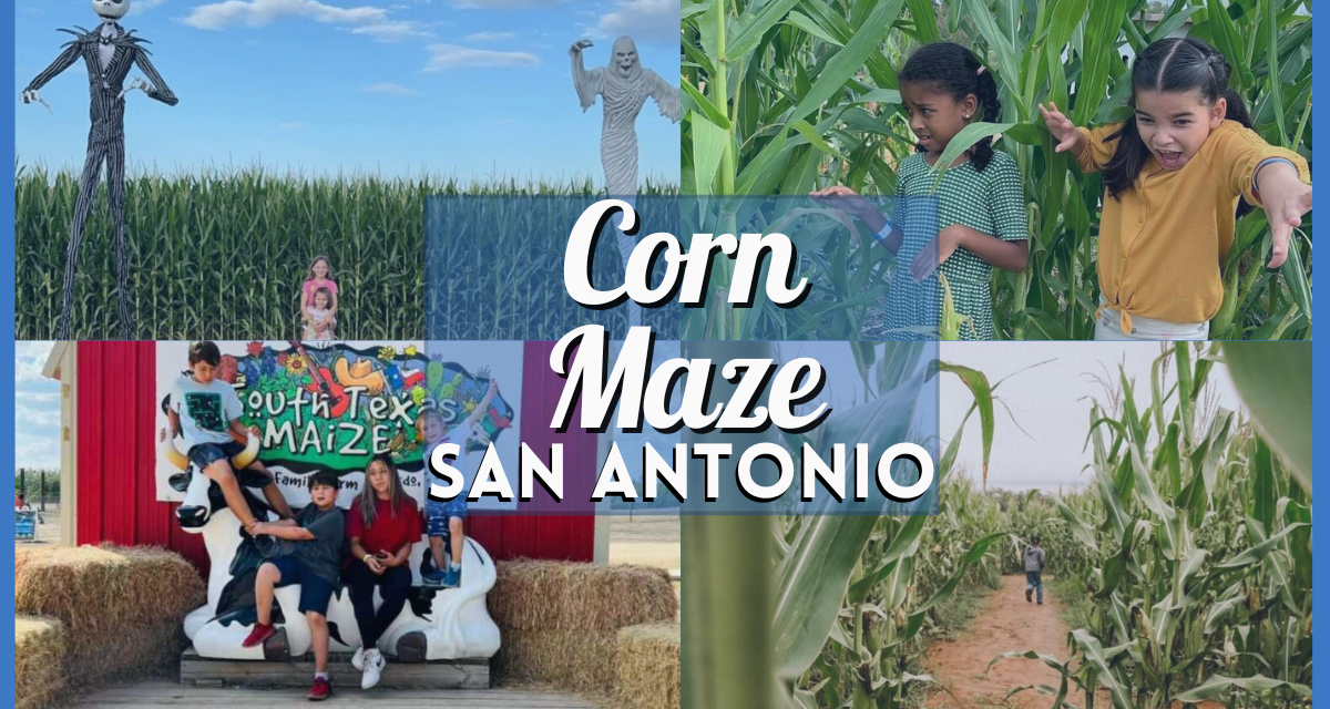 San Antonio Corn Maze – Get Lost in the Fun in These Fall Must-Visit Spots!