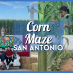 San Antonio Corn Maze – Get Lost in the Fun in These Fall Must-Visit Spots!