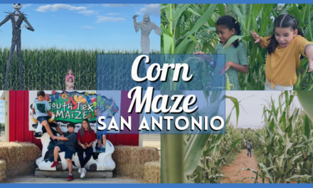 San Antonio Corn Maze – Get Lost in the Fun in These Fall Must-Visit Spots!