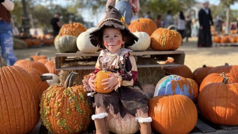 Pumpkin Patch San Antonio | Universal City Pumpkin Patch