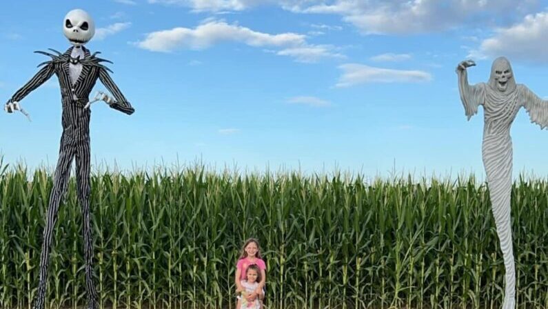 san antonio corn maze