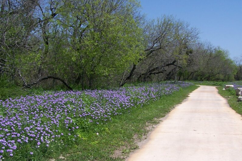 dog friendly hiking trails in san antonio