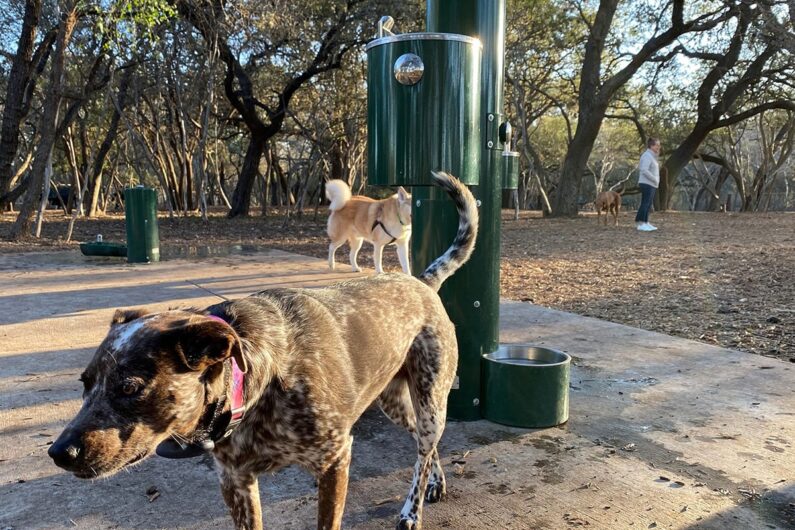 sa dog friendly hiking trails