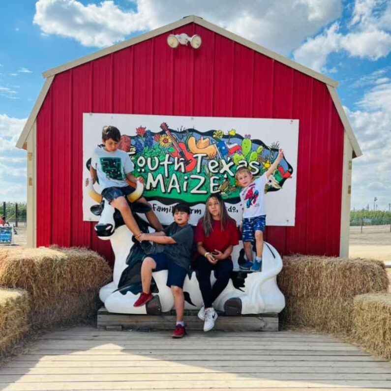 san antonio corn maze