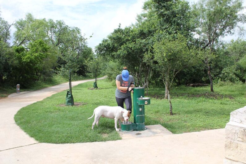 dog friendly hiking trails san antonio