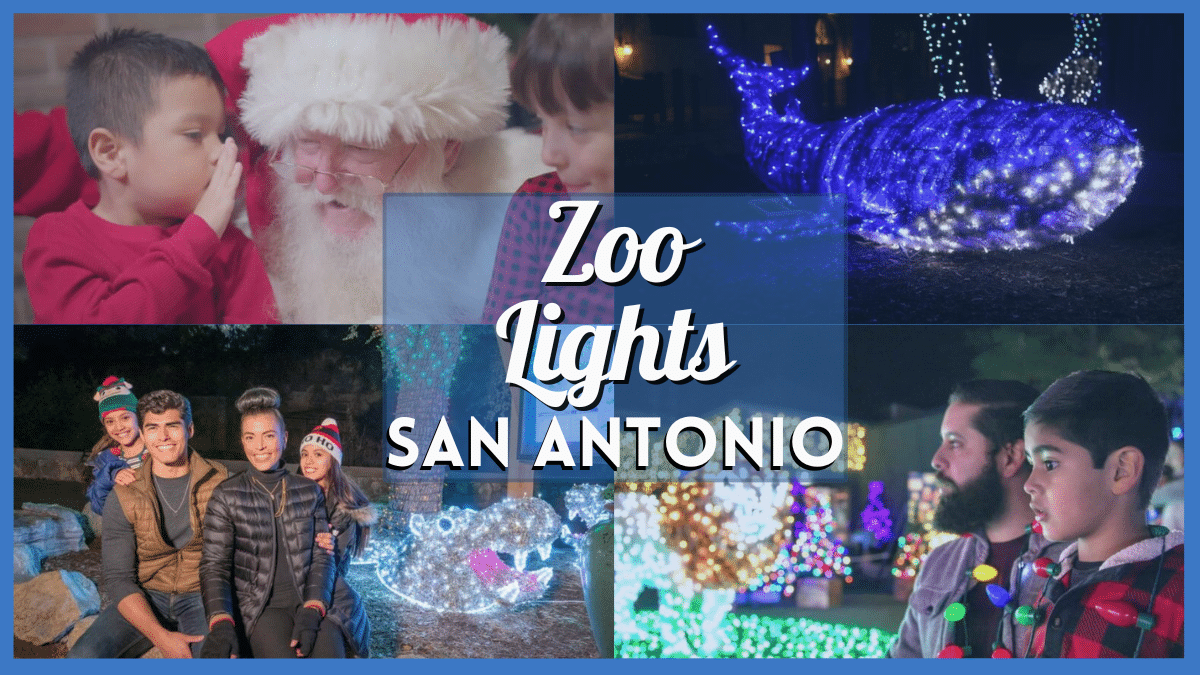 San Antonio Zoo Lights