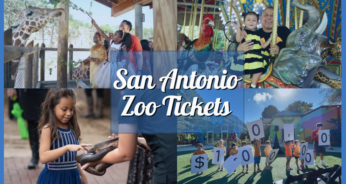 San Antonio Zoo Tickets, Exhibits, Attractions, and More!