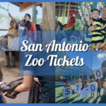 San Antonio Zoo Tickets, Exhibits, Attractions, and More!