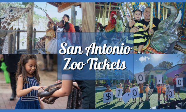 San Antonio Zoo Tickets, Exhibits, Attractions, and More!