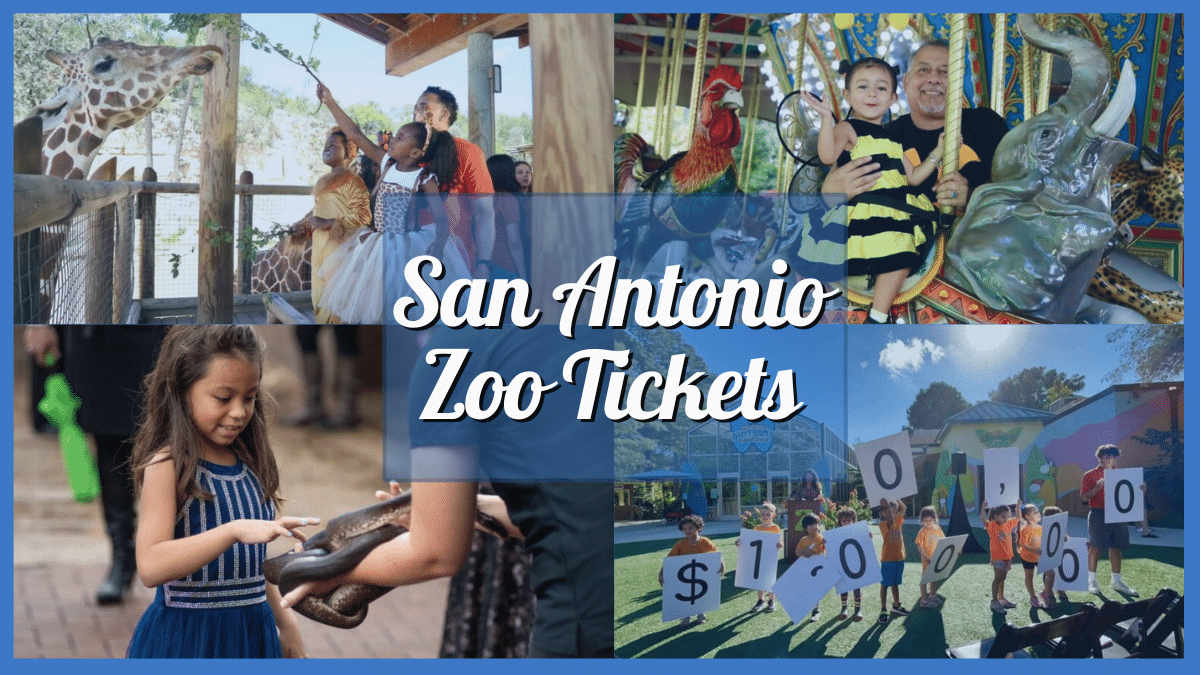 san antonio zoo hours friday