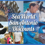 SeaWorld San Antonio Discount Tickets, Coupons, Prices, Hours, and More!