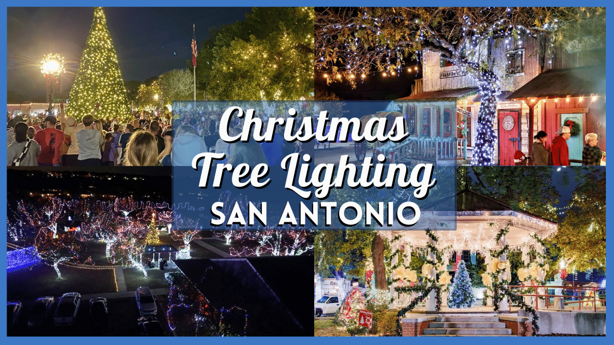 Ultimate Guide To Christmas Tree Lighting in and near San Antonio