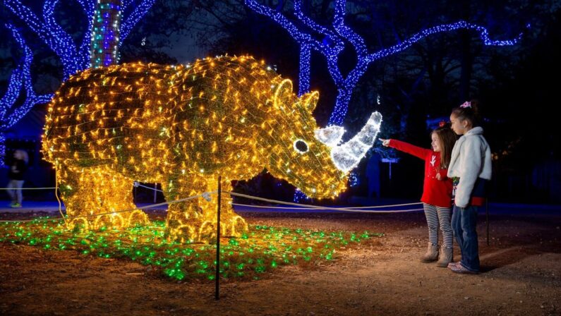 Zoo Lights