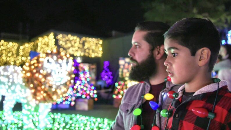 san antonio zoo lights 2024