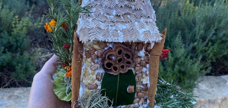 Fun Events in San Antonio Today - Gingerbread Garden Shed